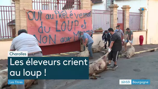 Charolles : des carcasses de brebis déposées à la sous-préfecture pour dénoncer les dégâts du loup