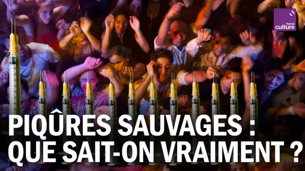 Fête de la musique : que sait-on des PIQÛRES SAUVAGES ?