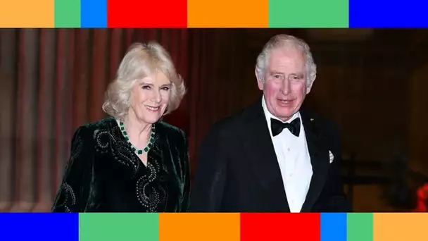 👑  Prince Charles touché par le Covid : Camilla Parker Bowles est-elle positive ?
