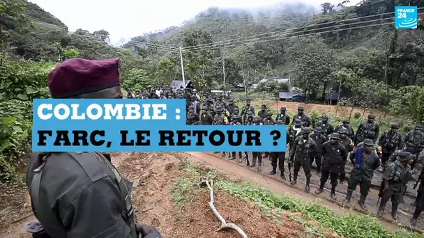 En Colombie, l'ex-numéro 2 des FARC reprend la lutte armée