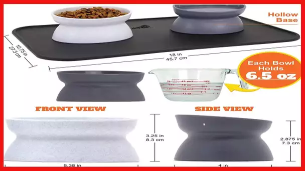 Kitty City Raised Cat Food Bowl Collection_Stress Free Pet Feeder and Waterer