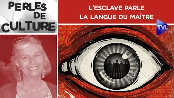 L'esclave parle la langue du maître - Perles de Culture n°314 - TVL