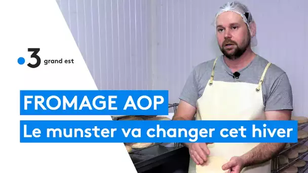 Pourquoi la qualité du munster AOP sera différente cet hiver