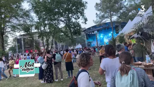 "FreeMusic festival" un festival sous les pins. (NoA Culture)