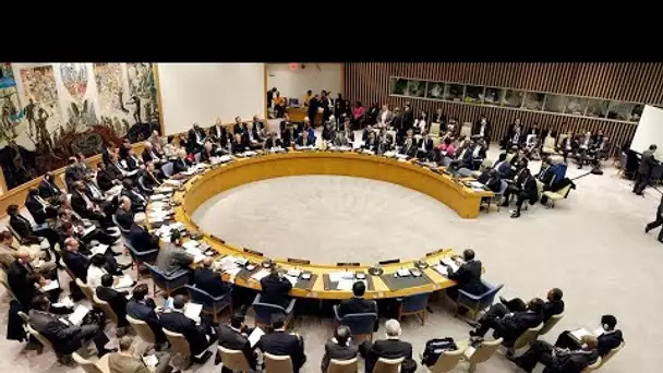 Le Conseil de sécurité des Nations se réunit concernant la situation à Zaporojié