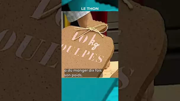 🐟 Quelle quantité de nourriture le thon doit-il manger - #CPS #shorts