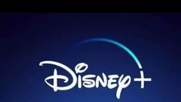 Disney+ prépare quatre séries françaises originales, dont une sur la mort de Malik Oussekine