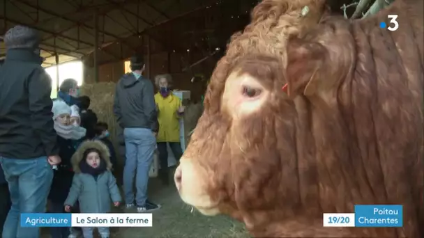 Salon de l’agriculture : une ferme ouvre ses portes au public à Marigny dans les Deux-Sèvres