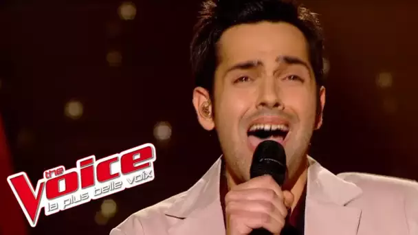 Jevetta Steele – Calling You | Yoann Fréget | The Voice France 2013 | Demi-Finale