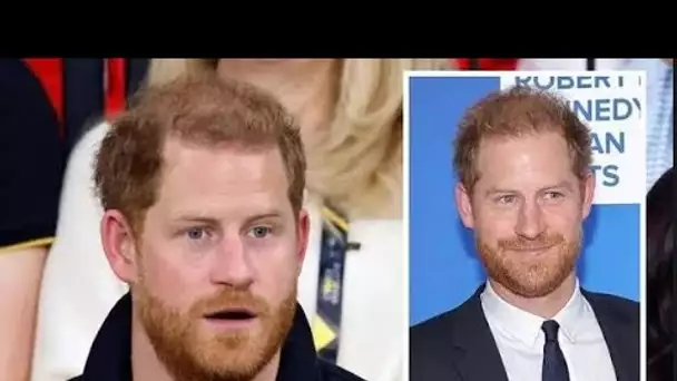 Le prince Harry est "plus intéressé" par le "marché américain" car "la sympathie s'est tarie" au Roy