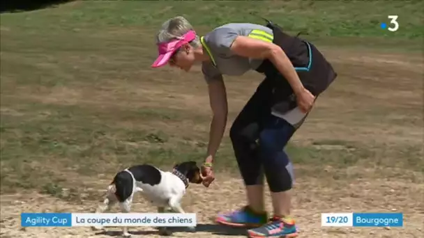 Avallon : un masterclass pour maîtres et chiens