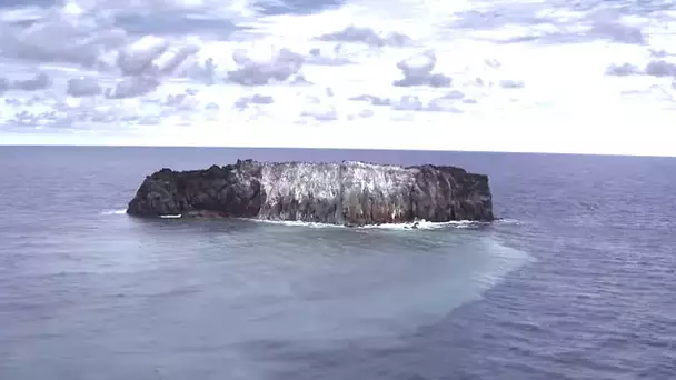 Volcan : Naissance d'une île