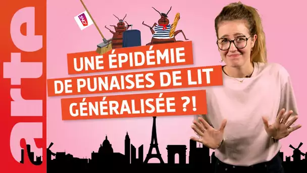 "Une épidémie de punaises de lit généralisée en France" ? - Désintox | ARTE