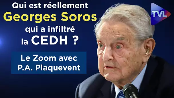 Qui est réellement Georges Soros qui a infiltré la CEDH ? ( Rediffusion )