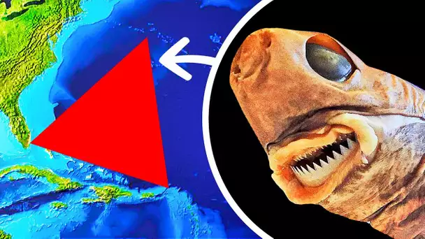Ils ont trouvé le monstre du Triangle des Bermudes en train de ronger les sous-marins