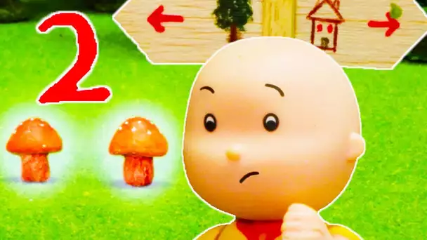 Caillou en Français | Caillou dans la Forêt | dessin animé en entier | NOUVEAU 2018