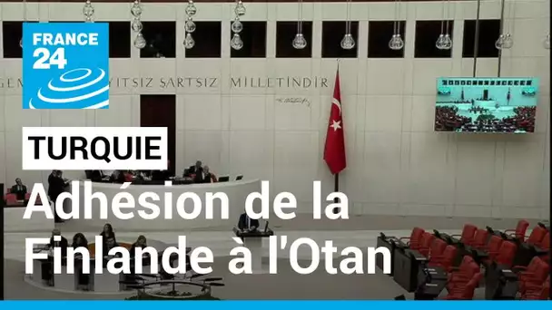 Adhésion de la Finlande à l'Otan : "le président turc avait souhaité que le processus aille vite"