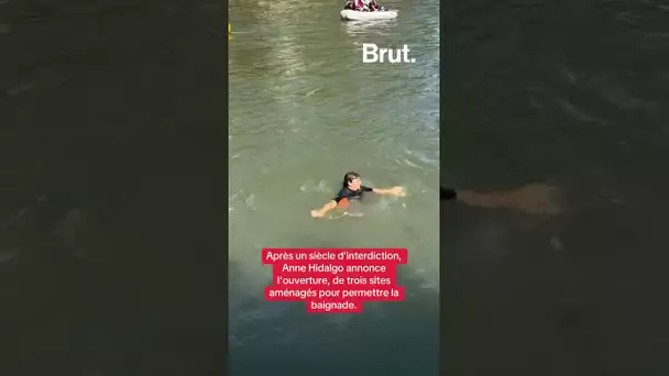 Dernière minute - À partir du 5 juillet à Paris, vous pourrez nager dans la Seine.