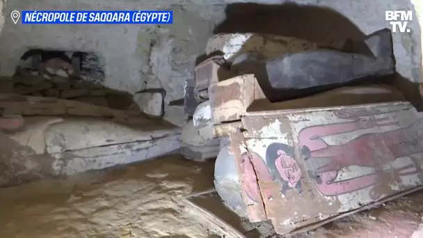 Les images de nouveaux "trésors archéologiques" découverts dans la nécropole de Saqqara en Égypte
