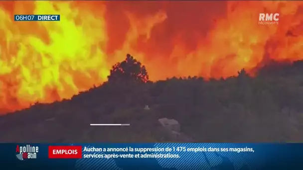 États-Unis: les incendies font des ravages, la ville de San Francisco n’a pas vu le jour ce mercredi