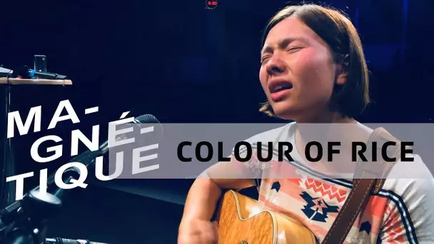 Colour of Rice live dans "Magnétique" (13 septembre 2019, RTS Espace 2)