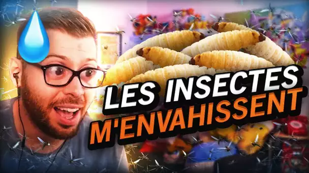 BEST-OF NT #17 - Les INSECTES m'envahissent 😭