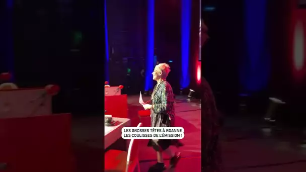 La tournée des Grosses Têtes : Roanne ❤️