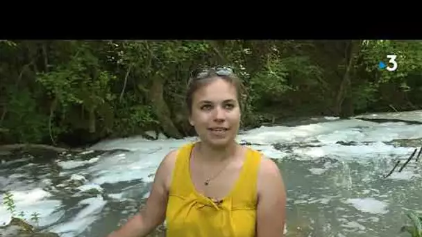 Pollution de la rivière Valouson dans le Jura