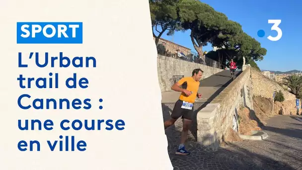 L’Urban trail de Cannes : quand une course s'invite en ville