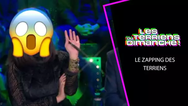 Le Zapping des Terriens