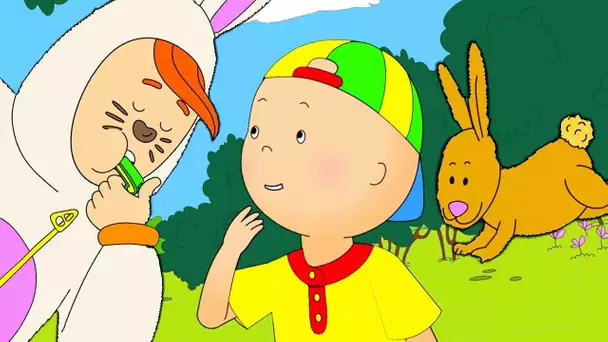 Caillou en Français | Caillou et les Lapins | dessin animé | dessin animé pour bébé | NOUVEAU