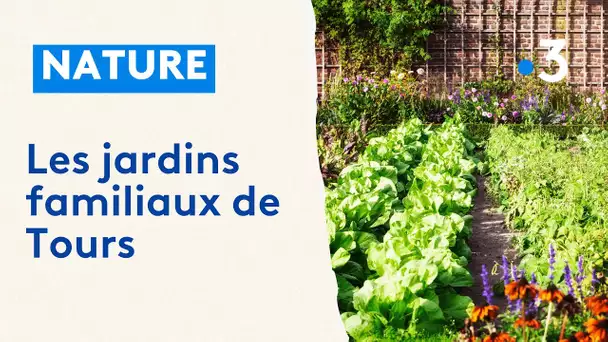 Les jardins familiaux de Tours