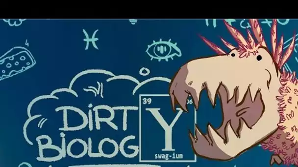 L'Esprit Sorcier avec DirtyBiology