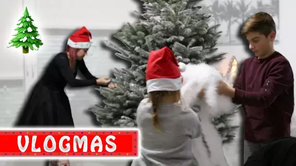 VLOGMAS 2 : On fait notre Sapin de Noël avec vous 🎄  / Family Vlog