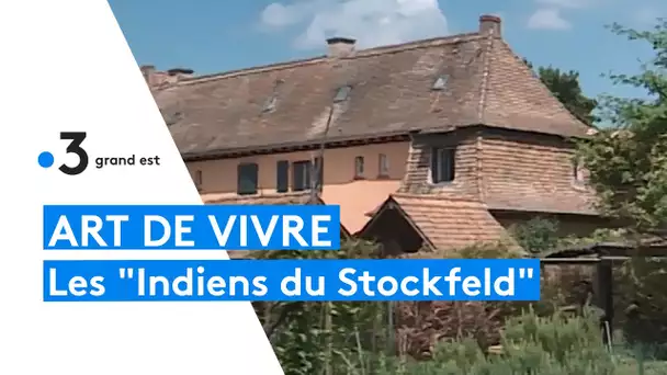 Immersion au sein du Stockfeld de Strasbourg, un coin de verdure en ville