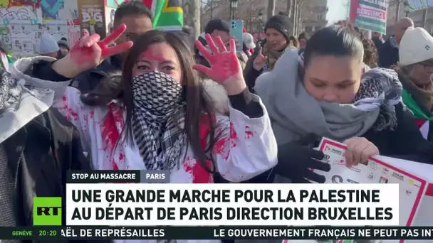 🇫🇷 Paris demande « stop au massacre »