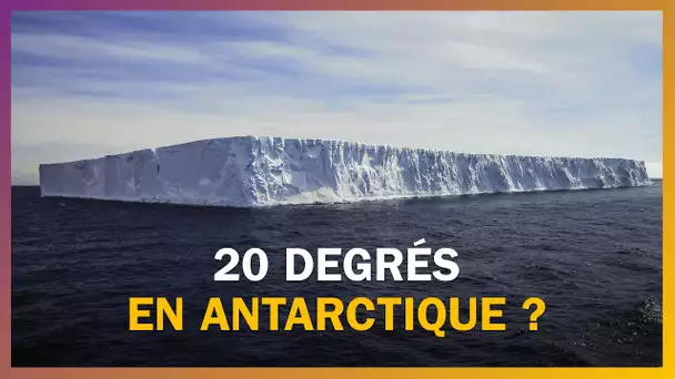 A-t-il vraiment fait 20 degrés en Antarctique ?