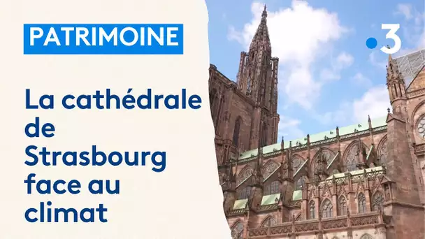 La cathédrale de Strasbourg face aux aléas climatiques