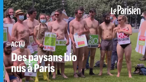«Tous à poil» : à Paris, des agriculteurs bio se dénudent contre la baisse des aides consacrée