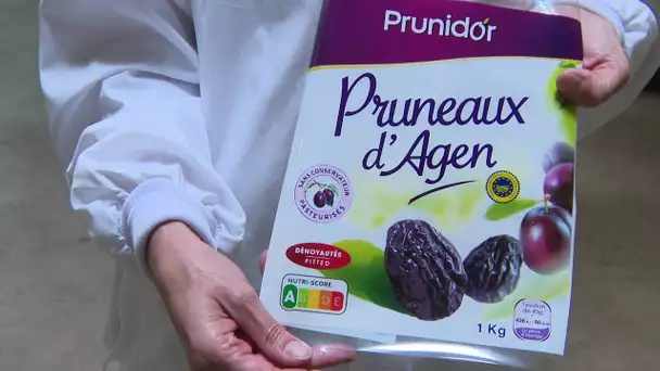 Pruneau d'Agen : les producteurs contre le nouveau nutriscore