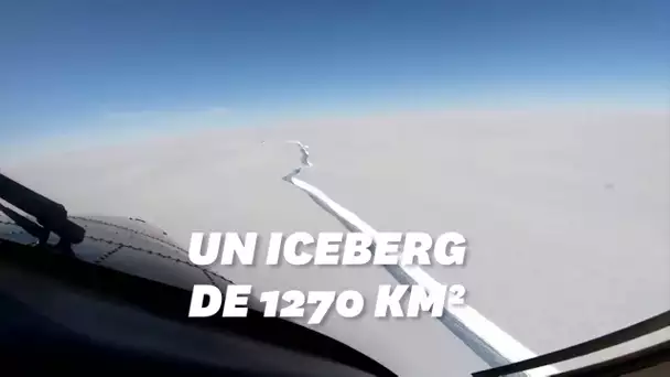 Un iceberg grand comme Paris se détache de l'Antarctique