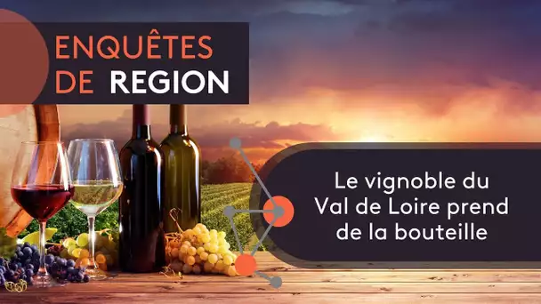 Les vins du Val de Loire, un vignoble qui prend de la bouteille !
