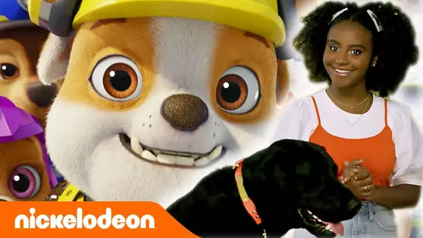 PAW Patrol: La Pat’ Patrouille | Orange Carpet – Edition spéciale | Nickelodeon France