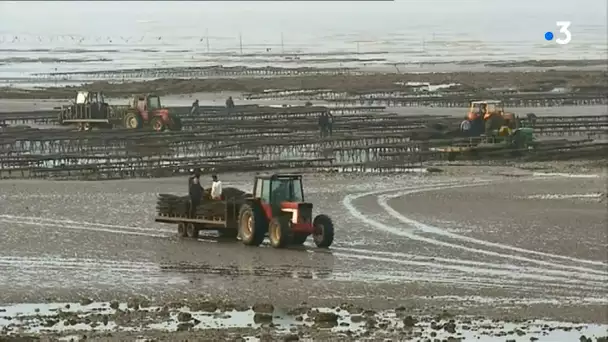 Pays de la Loire : les scientifiques traquent le Covid-19 sur le littoral