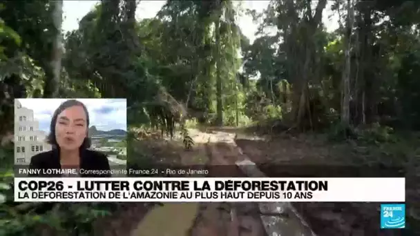 COP26 : la déforestation de l'Amazonie a son plus haut niveau depuis 2010 • FRANCE 24