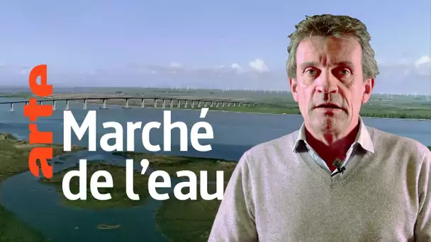 "Le mariage entre la finance et l'eau a déjà commencé" - Interview de Jérôme Fritel | ARTE