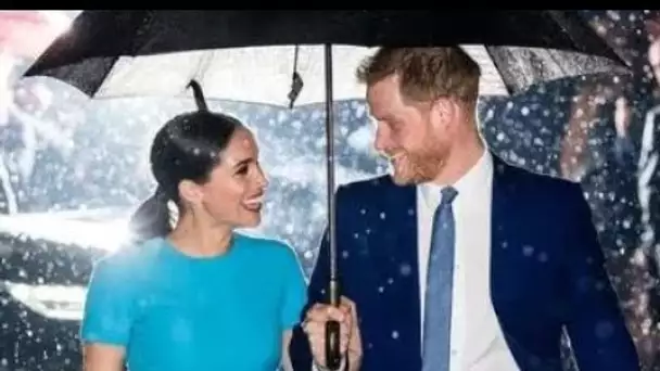 Le documentaire Netflix de Harry et Meghan surnommé "malheur narcissique c'est moi"