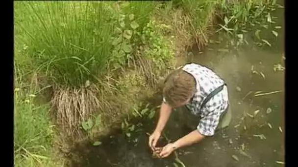 Petites histoire naturelles - Piéger...