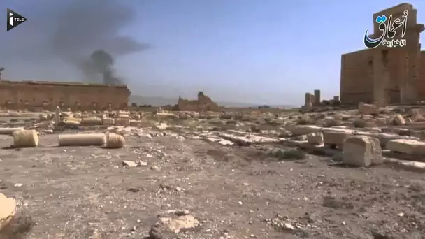 Les villes de Palmyre et Mossoul devraient être reprises à l&#039;État Islamique
