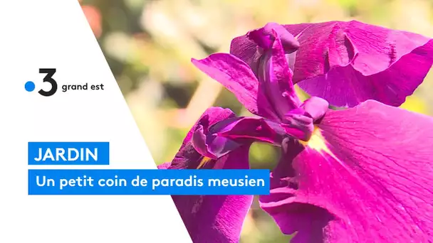 Jardin : découvrez le jardin d'Apremont dans la Meuse